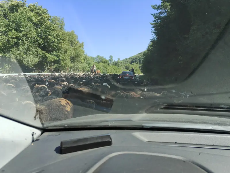 Внезапная встреча